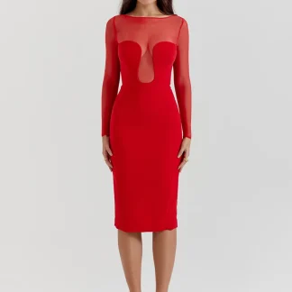 Mesh Long Sleeve Midi Dress